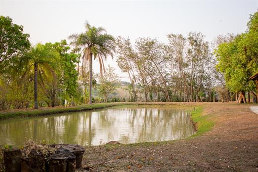 whatsapp image 2025-10-15 at 07.44.25 (17).jpeg