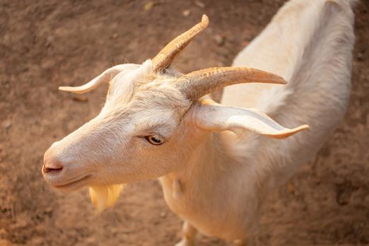 whatsapp image 2025-10-15 at 07.44.25 (12).jpeg