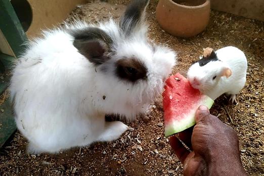 whatsapp image 2025-10-15 at 07.44.25.jpeg