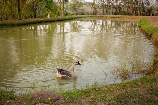 whatsapp image 2025-10-15 at 07.44.25 (16).jpeg