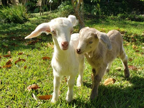 whatsapp image 2025-10-15 at 07.44.25 (1).jpeg