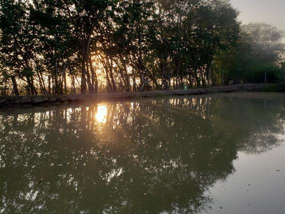 whatsapp image 2025-10-15 at 07.44.25 (3).jpeg