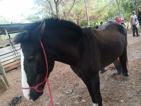 whatsapp image 2025-10-15 at 07.44.25 (48).jpeg