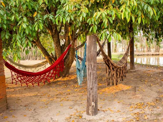 whatsapp image 2025-10-15 at 07.44.25 (19).jpeg