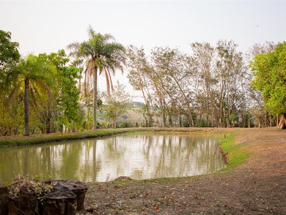 whatsapp image 2025-10-15 at 07.44.25 (17).jpeg