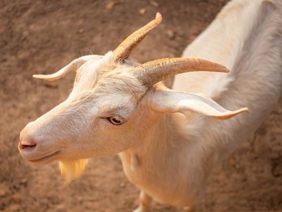 whatsapp image 2025-10-15 at 07.44.25 (12).jpeg