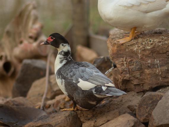 whatsapp image 2025-10-15 at 07.44.25 (21).jpeg