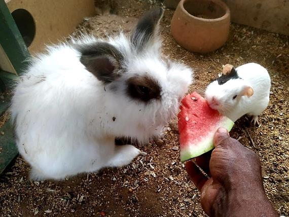 whatsapp image 2025-10-15 at 07.44.25.jpeg