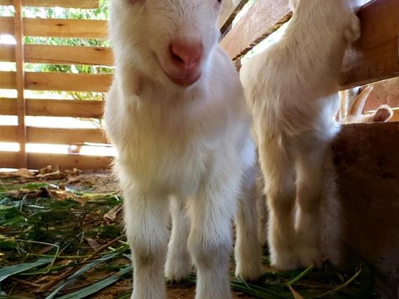 whatsapp image 2025-10-15 at 07.44.25 (2).jpeg