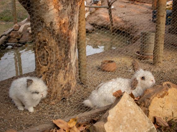 whatsapp image 2025-10-15 at 07.44.25 (20).jpeg