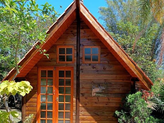 whatsapp image 2025-10-15 at 08.04.56.jpeg