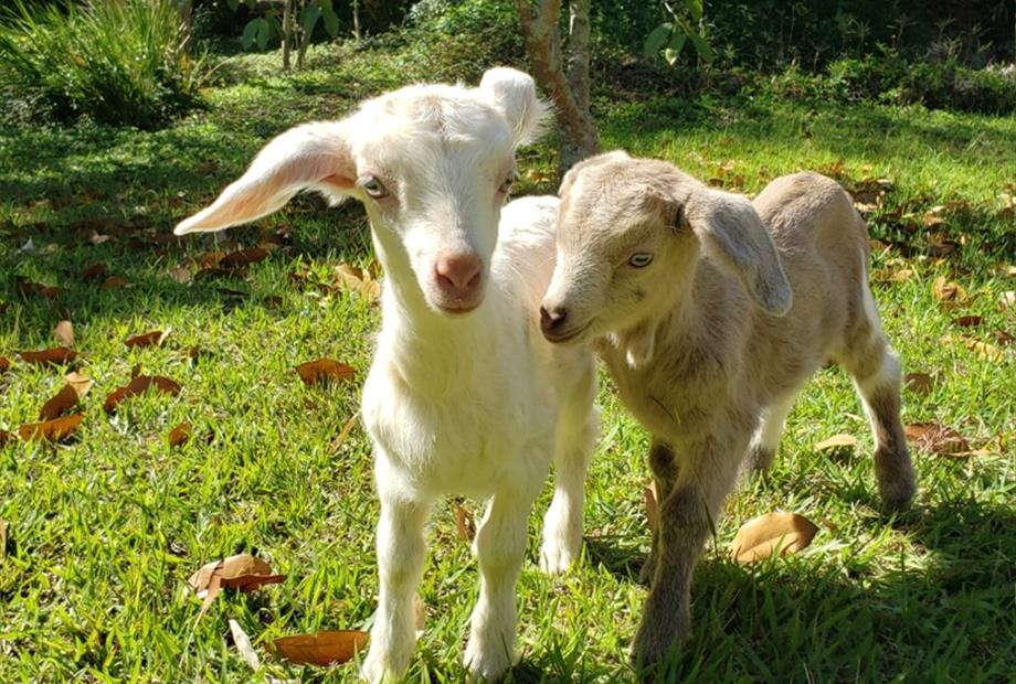 whatsapp image 2025-10-15 at 07.44.25 (1).jpeg