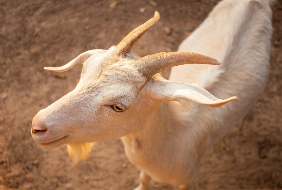 whatsapp image 2025-10-15 at 07.44.25 (12).jpeg