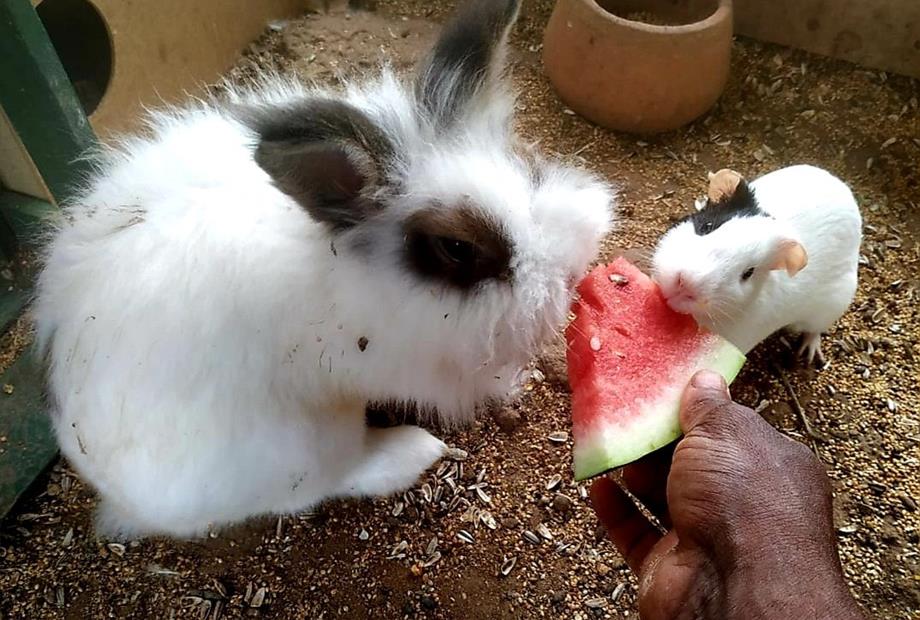 whatsapp image 2025-10-15 at 07.44.25.jpeg