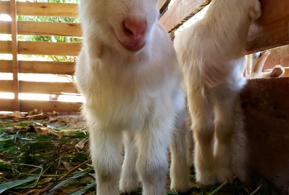 whatsapp image 2025-10-15 at 07.44.25 (2).jpeg