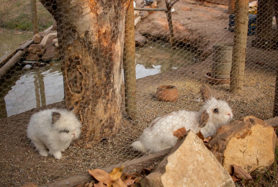 whatsapp image 2025-10-15 at 07.44.25 (20).jpeg