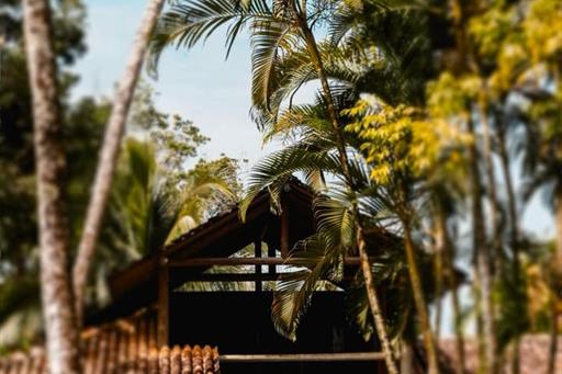 whatsapp image 2025-12-14 at 19.51.45.jpeg