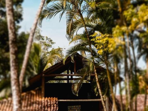 whatsapp image 2025-12-14 at 19.51.45.jpeg