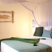 Quarto Standard