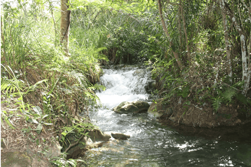 captura de tela 2025-10-09 095222.png