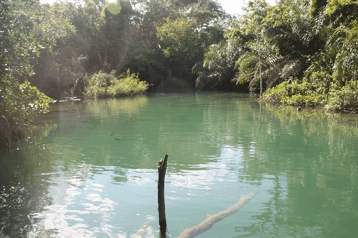 captura de tela 2025-10-09 095423.png