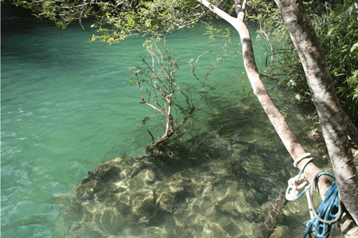 captura de tela 2025-10-09 095331.png