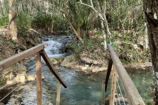 captura de tela 2025-10-09 095514.png