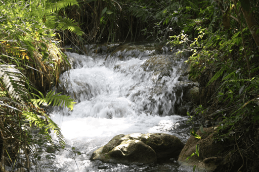 captura de tela 2025-10-09 095213.png