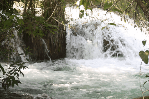 captura de tela 2025-10-09 095234.png