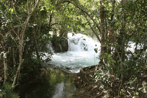 captura de tela 2025-10-09 095245.png