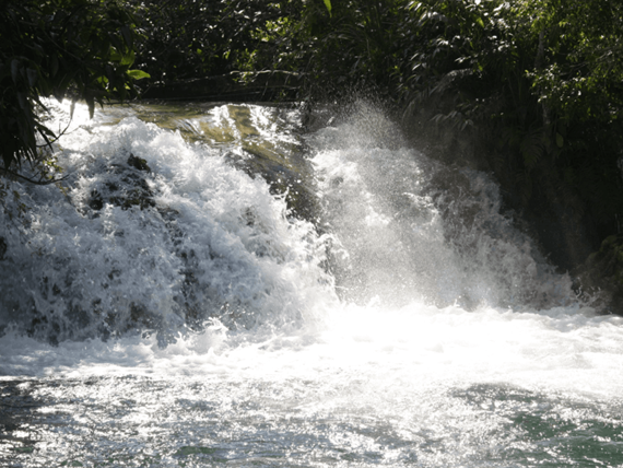 captura de tela 2025-10-09 095320.png