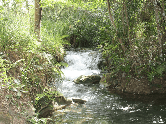 captura de tela 2025-10-09 095222.png