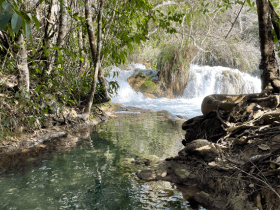 captura de tela 2025-10-09 095817.png