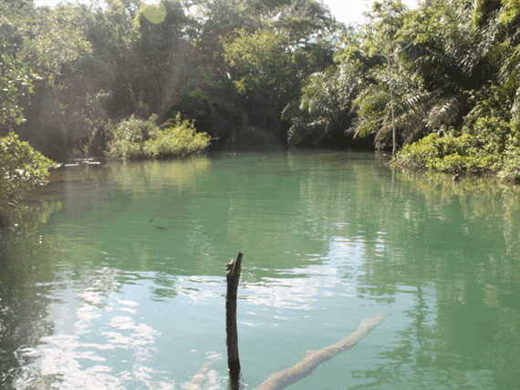 captura de tela 2025-10-09 095423.png