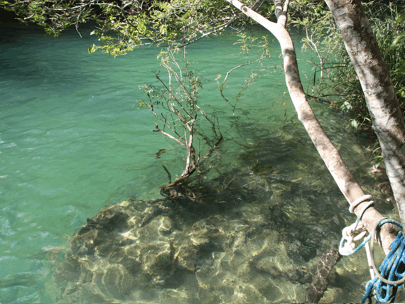 captura de tela 2025-10-09 095331.png