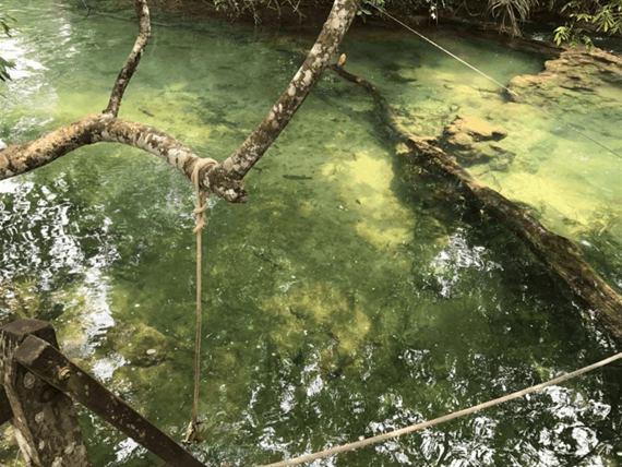 captura de tela 2025-10-09 095106.png