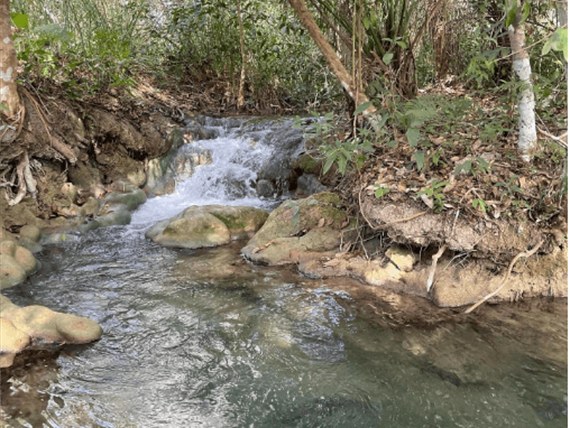 captura de tela 2025-10-09 095526.png