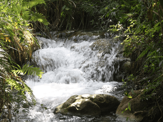 captura de tela 2025-10-09 095213.png