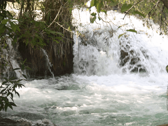 captura de tela 2025-10-09 095234.png