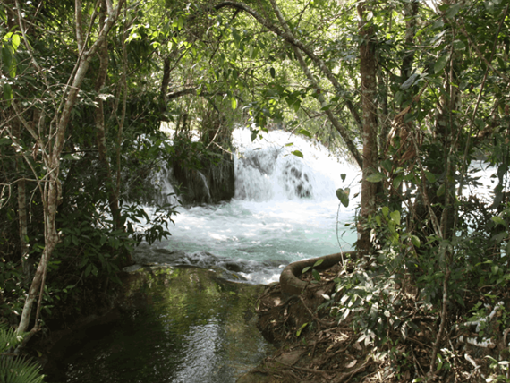 captura de tela 2025-10-09 095245.png