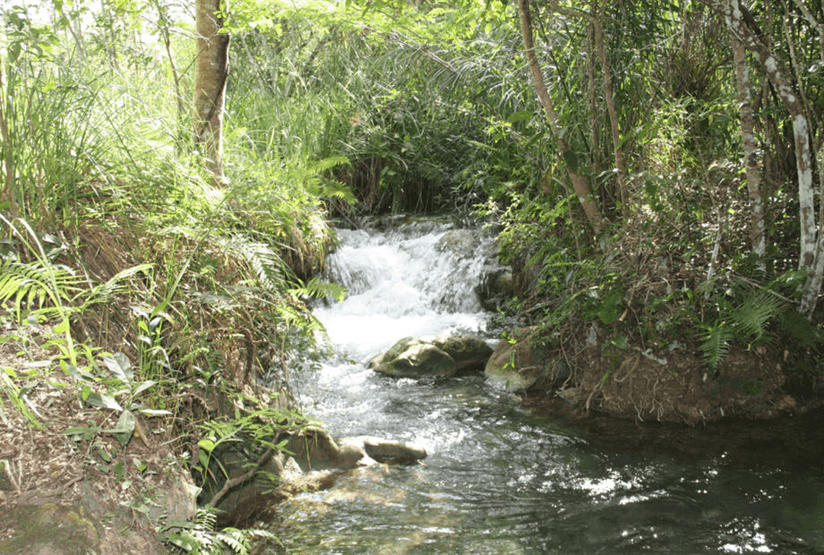 captura de tela 2025-10-09 095222.png