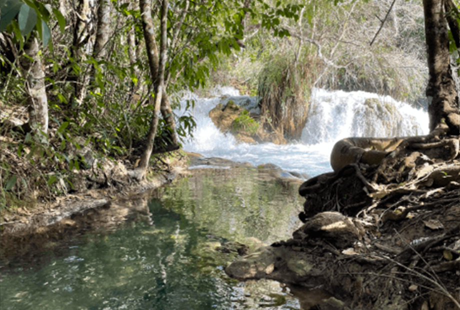 captura de tela 2025-10-09 095817.png