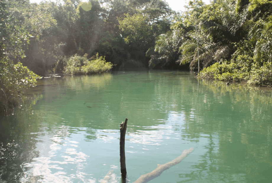 captura de tela 2025-10-09 095423.png