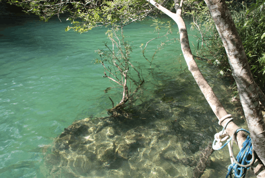 captura de tela 2025-10-09 095331.png