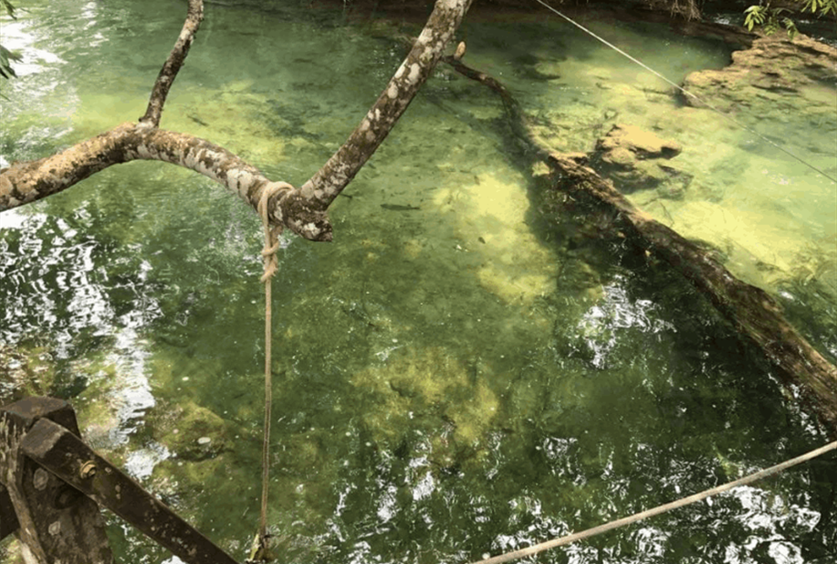 captura de tela 2025-10-09 095106.png