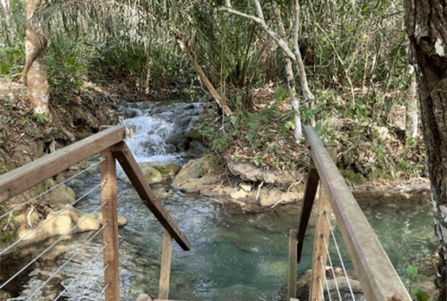 captura de tela 2025-10-09 095514.png