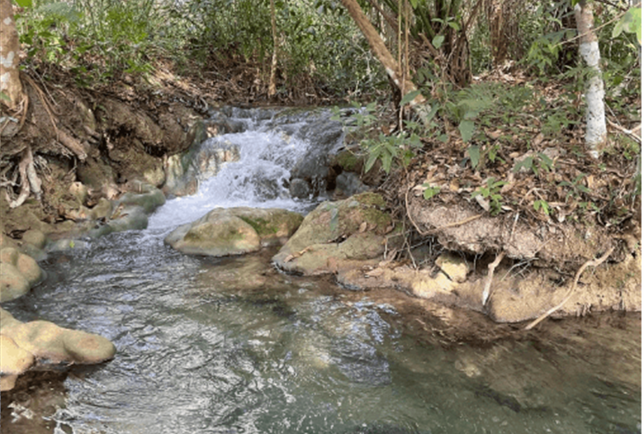 captura de tela 2025-10-09 095526.png