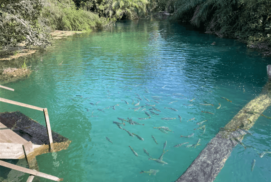 captura de tela 2025-10-08 164634.png