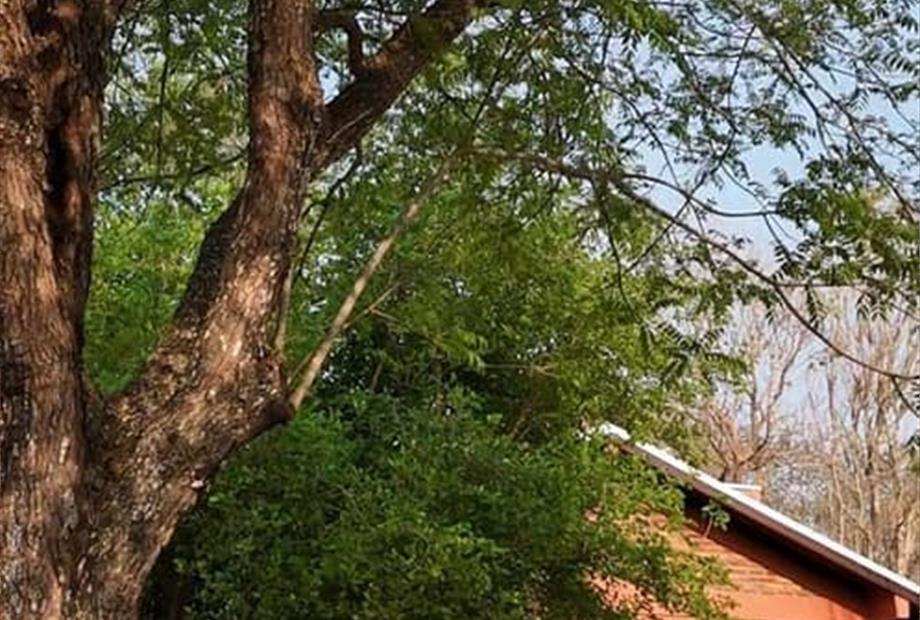 whatsapp image 2025-09-24 at 12.49.20 - copy.jpeg