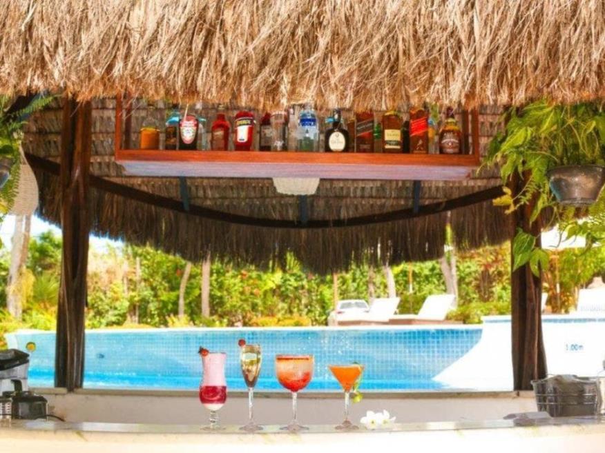 tibau bar 2.jpg